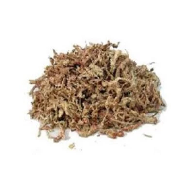 SPHAIGNE de qualité supérieure - 6 kg - - Photo 1/4