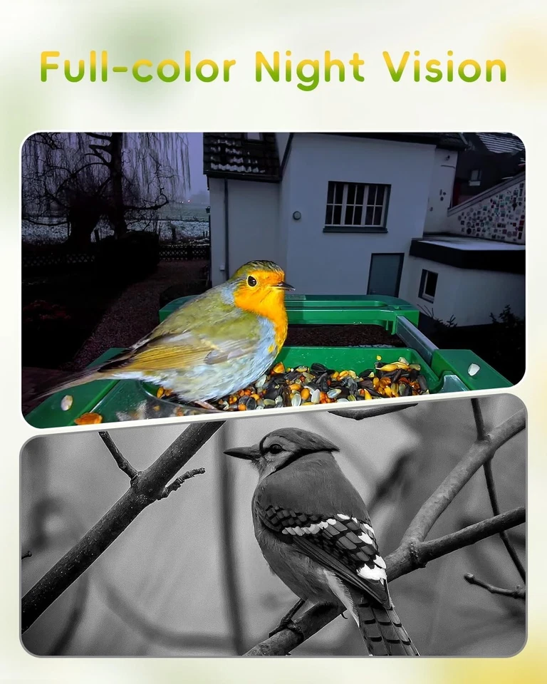 Smart Wireless Bird Feeder with Camera, 32MP Camera, 4K Video, 2.4/5G Wifi, IP66 - Image 3 of 4