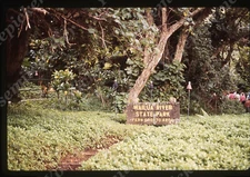 sl65  Original slide  1980's Hawaii  Wailua River State Park Fern Grotto 784a