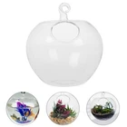 Glass Hanging Planter Diy Terrarium Kits Clear Fish Bowl Aquarium