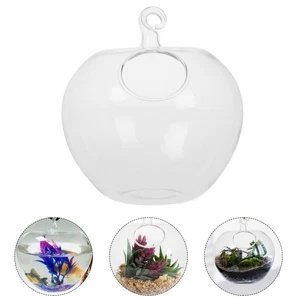 Glass Hanging Planter Diy Terrarium Kits Clear Fish Bowl Aquarium