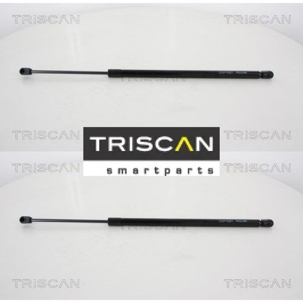 2X Gasfeder FüR Koffer-/Laderaum Triscan 871067215 DäMpfer GasdäMpfer-image