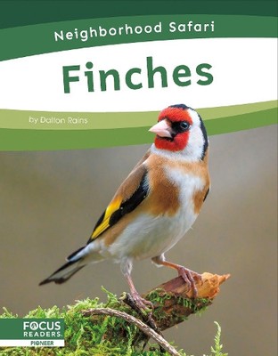 Dalton Rains Finches (Paperback) Neighborhood Safari Set 2 (UK IMPORT)