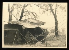 Photo - Air Force Soldiers in Southern Uniform with Camouflage Tent - WWII