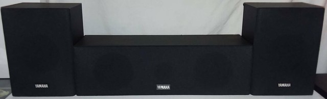 yamaha nsa100xt