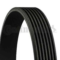 Continental Ctam 7PK2054 Keilrippenriemen FÜR Alfa Romeo Chrysler Opel Renault