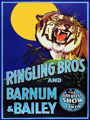 Deco POSTER.Home room wall Art.Interior Design.Ringling Bros Circus.Tiger.7027