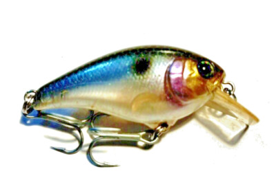 Illex / Jackall Aska 45 SR Wobbler, Crankbait, Kunstköder, 4,5 cm, Floating