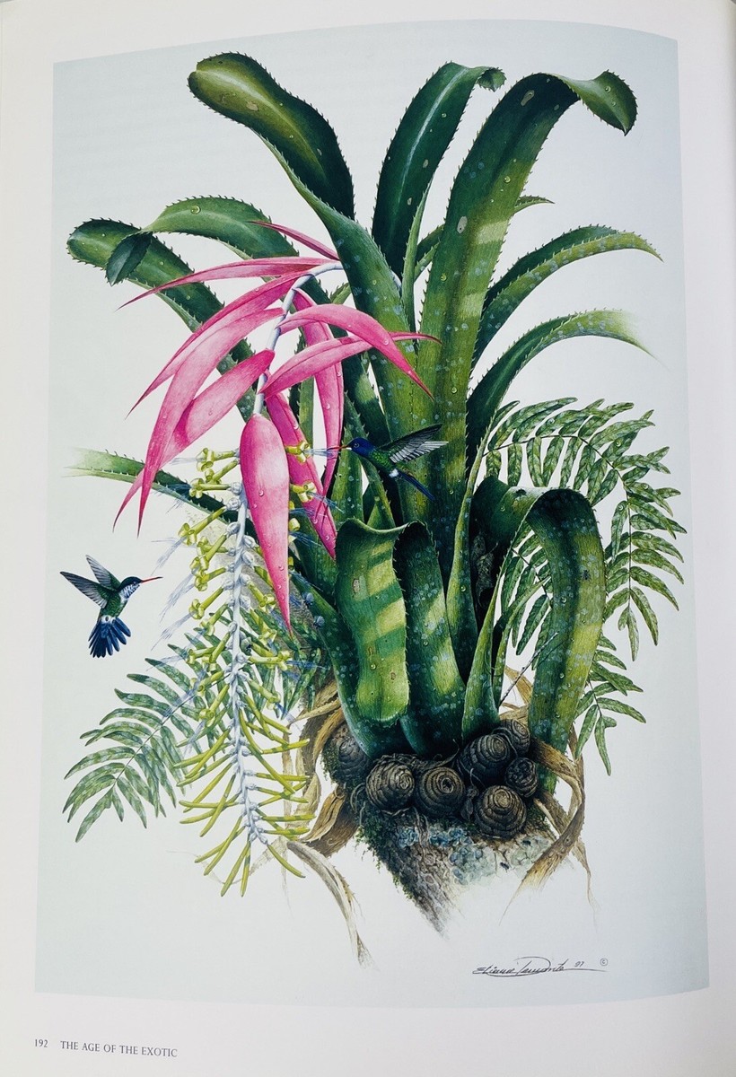 Treasures of Botanical Art 2008 by Shirley Sherwood & Martyn Rix