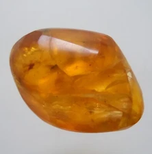 100 MILL. YEARS OLD BURMITE AMBER WITH BEETLE & OTHER INSECT (ABR10/57)
