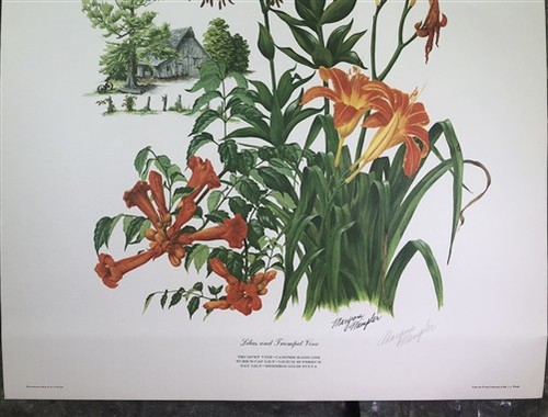 Maryrose Wampler, Lilies & Trumpet Vine, Signed Print, 28x22 Wall Art, Plate 23 - Picture 4 of 9