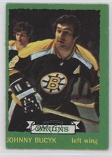 1973-74 O-Pee-Chee Dark Back Johnny Bucyk John Bucyk #147 HOF 2l5