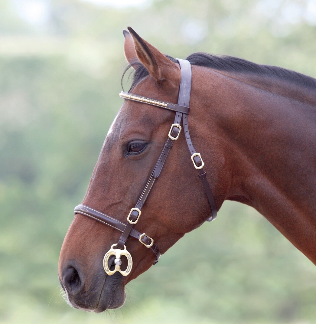 Brown Leather Handmade Anatomical Clincher Bridle Browband Horse Bridle