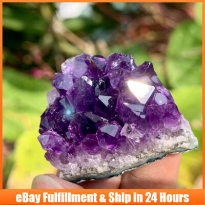 Natural Amethyst Cluster Quartz Crystal Druzy Geode Energy Stone Specimens US