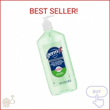 Germ-X Advanced Hand Sanitizer with Aloe and Vitamin E, Non-Drying Moisturizing 