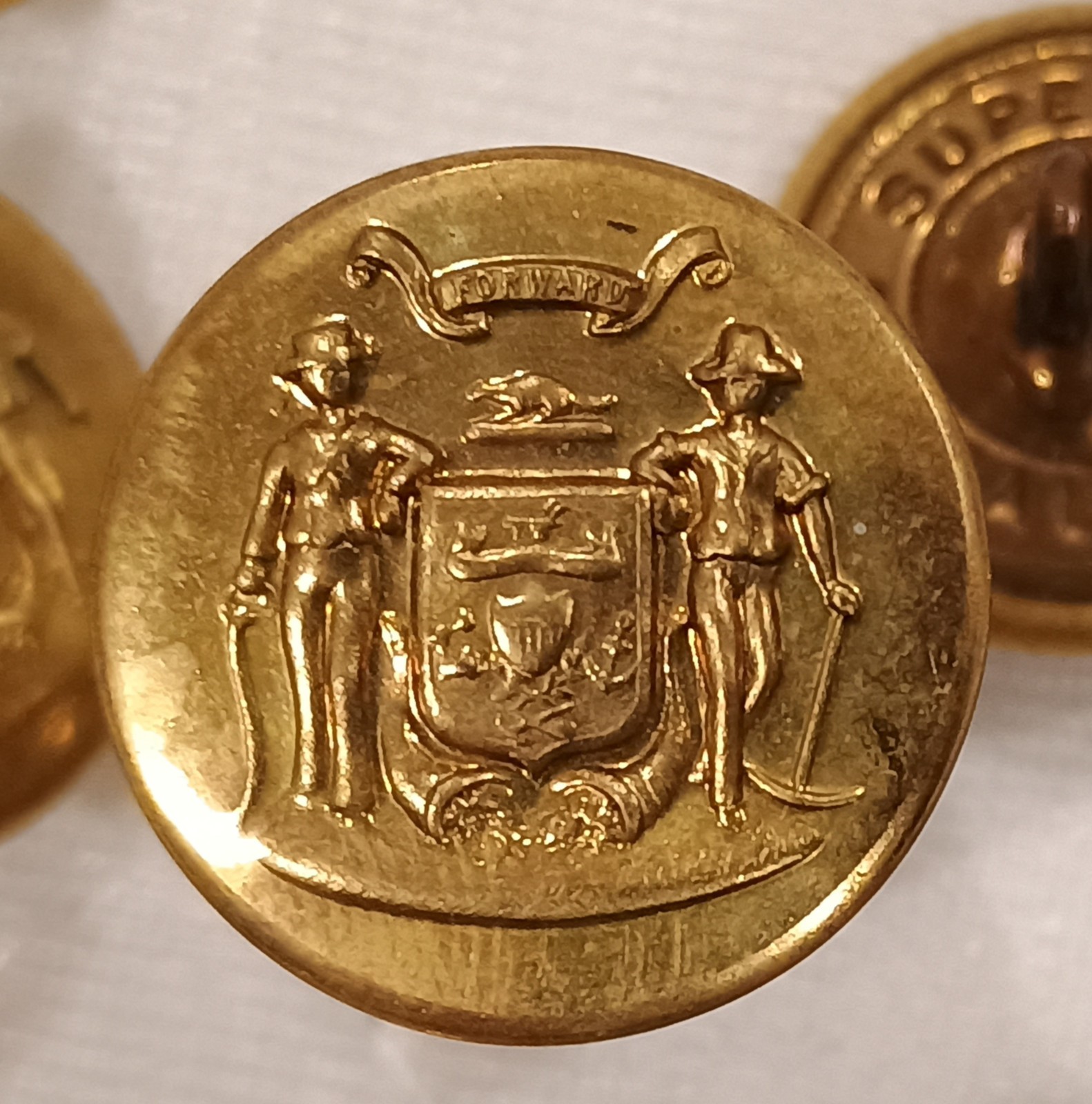 22 Wisconsin State Seal Gold-Tone Metal Shank Buttons Backmark Superior Quality
