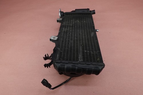 2008-2017 BMW G650 GS G650GS Engine Motor Water Cooling Radiator w/ Fan - Picture 10 of 12