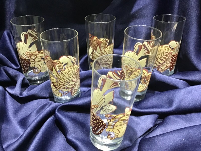 6 TASTESETTER SEASHELL BEVERAGE HIGHBALL GLASSES never used! by SIGMA excellent!