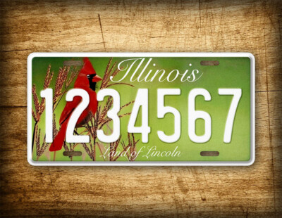 Custom USA Novelty Licence Plate
