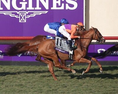 COLOR PHOTO   Fan Favorite Got Stormy  in action  BC Filly Mare Turf 2021 #1