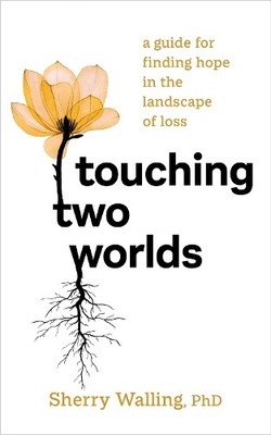 Sherry Walling Touching Two Worlds (Taschenbuch)