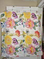 2 Greenland Home Fashions Watercolor Dream Shams