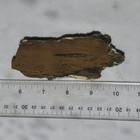 NEVADA HOWARDITE aka RATTLESNAKE JASPER SLAB ~ 65 grams / rough agate cab rock — photo 5