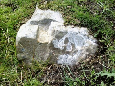 Foto 6x4 Benchmark auf Straßenrand Felsen Askrigg Ordnance Survey Pivot Benchm c2010