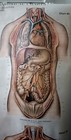 Foto 3 di 14