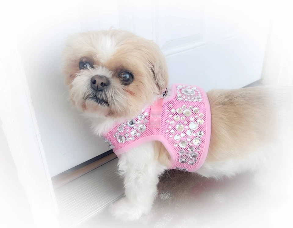 Arnés Step-in rosa polvo, arnés para perros sin tirar, arnés para perros pequeños, estrás Foto 2 de 4