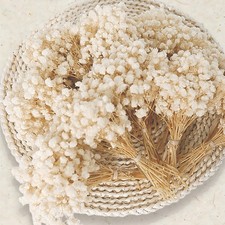 150 PCS Ivory White Mini Dried Baby Breath Gypsophila Bouquet 9000 Flowers