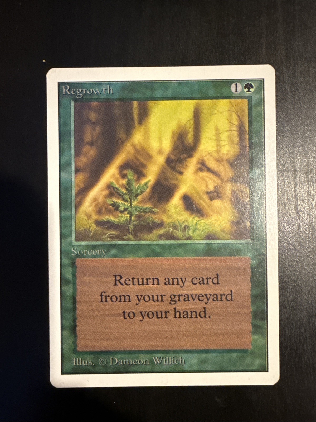 Regrowth Unlimited MTG
