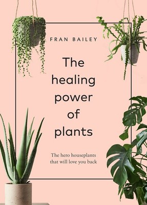 The Healing Power of Plants: The Hero Houseplants That Will Love