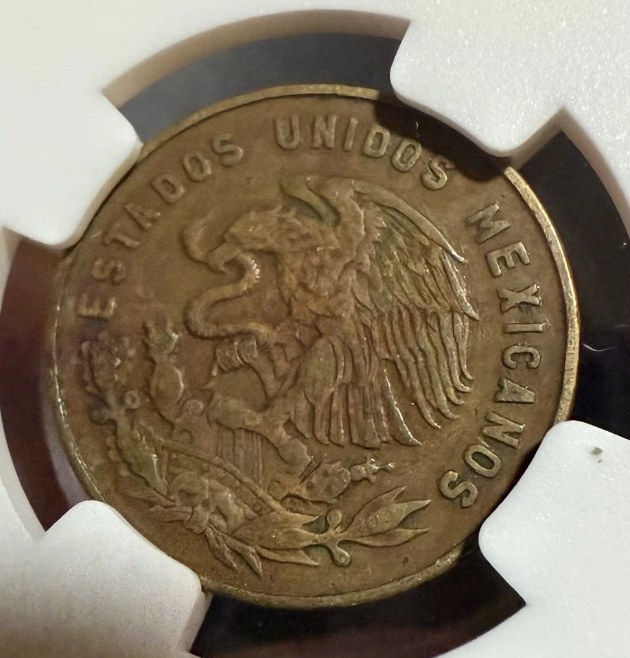 Moneda genuina mexicana de 5 centavos de latón 1954-1969 certificada Foto 4 de 4