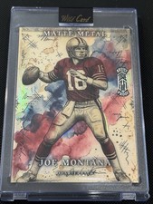 Joe Montana 1/1 Artist Proof Case Hit 49ers SSP NFL USA Wild Card One Of One