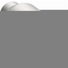 Catalytic Converter Magnaflow 59955 Catalytic Converter Magnaflow 59955