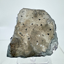 Freibergite with Jamesonite on Galena: Herja Mine, Baia Mare, Romania