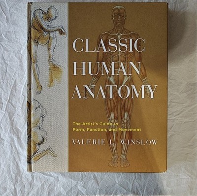 Classic Human Anatomy : The Artist's Guide to Form, Function, and Movement 
