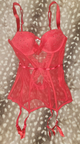 Victoria's Secret Red Sheer Lace Lingerie Corset Boning Sparkly Bra Garters 34C