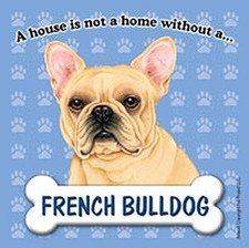 French Bulldog Magnet - House Is Not A Home
