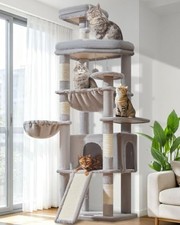 Taoqimiao Cat Tree for Large Cats, 72In Tall Cat Tower, Giant Platform