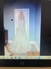 Extraordinary shiny wedding dress