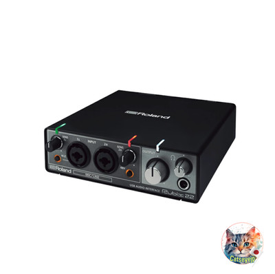 Roland USB Audio Interface Rubix24 2in/4out Englisch Handbuch Neu