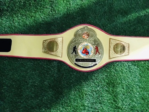 New Title Boxing Gold Flash World Title Belt, Gold leather belt Adult Size - Picture 4 of 6