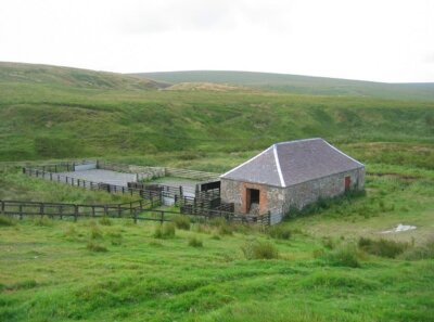 Photo 6x4 Sheep pens, Priesthill Glenbuck/NS7429 There seems to be littl c2005