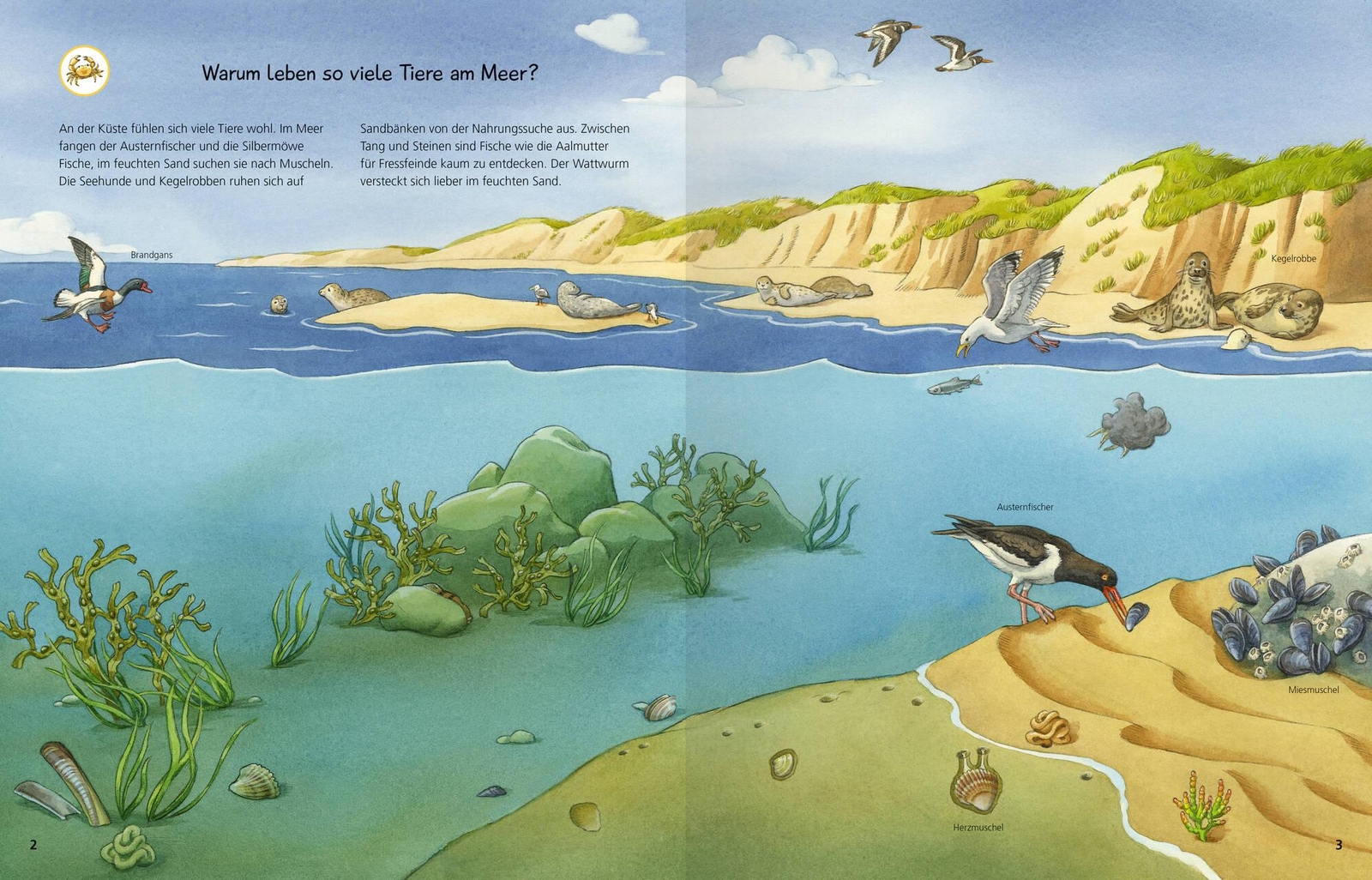 Thumbnail - Ute Simon Wieso? Weshalb? Warum? Stickerheft: Heimische Tiere