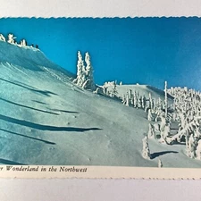 California Postcard Mid 1900s Winter Wonderland Snow Northwest 