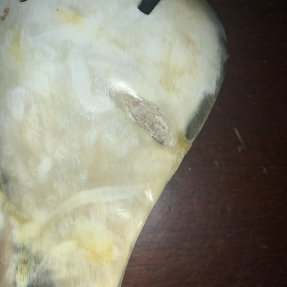 Rare Vintage Carved Horn Serving Spoon and Fork 11 inch long. Unique  - Image 3 of 4