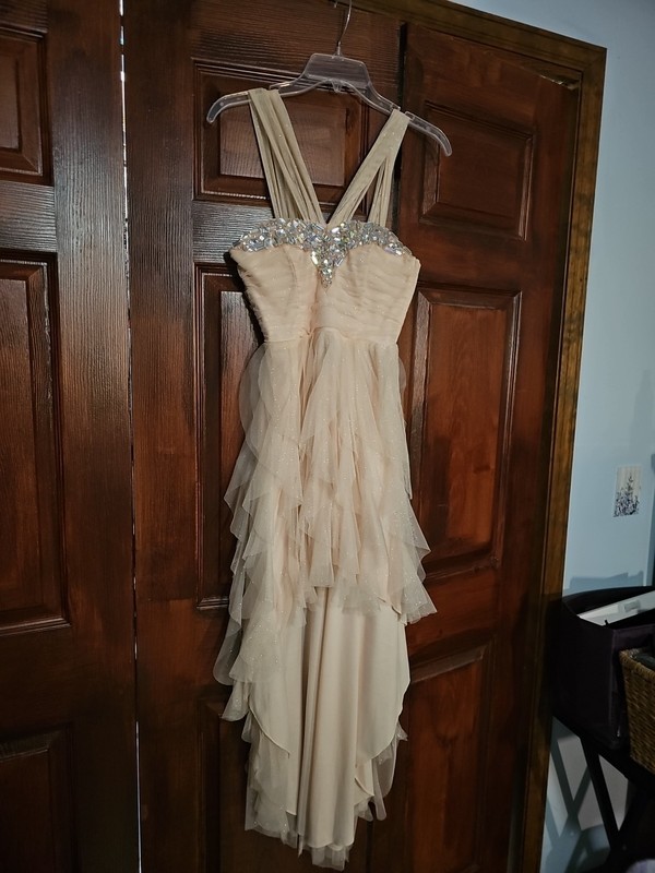 Teeze Me High-low Pink Prom Dress Size 5