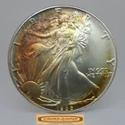 1986 American Silver Eagle 1 oz .999 Silver, Both Side Toned - #C59460NQ